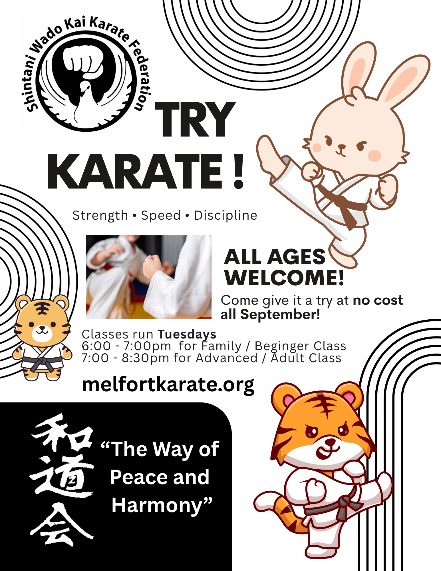 Try Karate